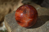 Polished Stunning Carnelian Agate Spheres  x 5 From Madagascar