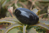 Polished Schorl Black Tourmaline Galet / Palm Stones x 20 From Madagascar