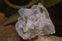 Natural Sugar Amethyst Clusters  x 4 From Solwezi, Zambia