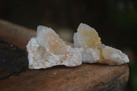 Natural Small Mixed Spirit Quartz Specimens  x 35 From Boekenhouthoek, South Africa - Toprock Gemstones and Minerals 