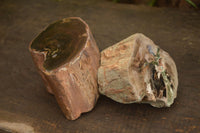 Polished Petrified Wood Branch Pieces x 2 From Gokwe, Zimbabwe