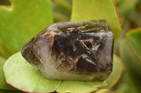 Polished Trio Of Smokey Amethyst Window Quartz Crystals  x 3 From Akansobe, Madagascar - TopRock