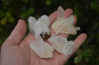 Natural Small Quartz Clusters  x 35 From Madagascar