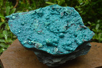 Natural Extra Large Chrysocolla Silica Botryoidal Specimen x 1 From Kulukuluku, Congo - TopRock