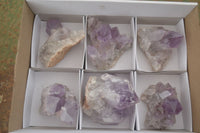 Natural Jacaranda Amethyst Clusters  x 6 From Mumbwa, Zambia - Toprock Gemstones and Minerals 