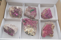 Natural Pink Salrose Cobaltion Dolomite Specimens With Ball Malachite  x 6 From Congo - Toprock Gemstones and Minerals 