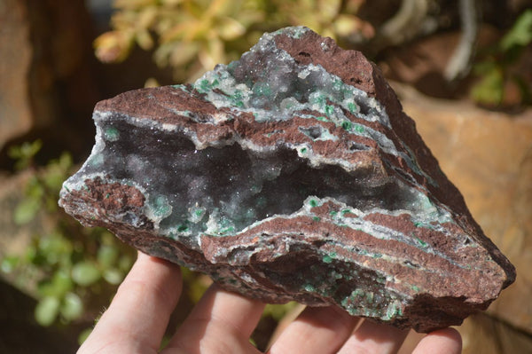 Natural Drusy Coated Ball Malachite On Dolomite Specimens  x 2 From Likasi, Congo