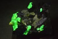 Natural Fluorescent Hyalite Opal Specimen x 1 From Erongo Mountains, Namibia - TopRock