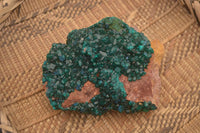 Natural Extra Large Emerald Dioptase Crystal Specimen  x 1 From Likasi, Congo