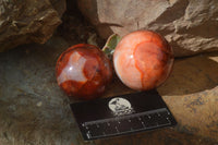 Polished Stunning Carnelian Agate Spheres  x 5 From Madagascar