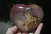 Polished Petrified Red Podocarpus Wood Hearts x 2 From Madagascar - Toprock Gemstones and Minerals 