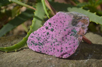 Natural Pink Salrose Cobaltion Dolomite Specimens  x 6 From Kakanda, Congo