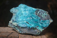 Natural Blue Silica Chrysocolla Specimens  x 2 From Congo - Toprock Gemstones and Minerals 