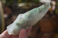 Natural Rough Green Jade Cobbed Specimens x 37 From Swaziland