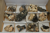 Natural Mixed Aegirine Specimens  x 12 From Malawi