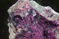 Natural Extra Large Deep Pink Salrose With Black Heterogonite  x 1 From Kakanda, Congo - Toprock Gemstones and Minerals 