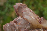 Natural Red Hematoid Quartz Specimens x 2 From Karoi, Zimbabwe - TopRock