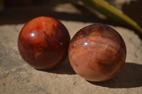 Polished Stunning Carnelian Agate Spheres  x 5 From Madagascar