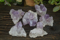 Natural Jacaranda Amethyst Clusters  x 6 From Mumbwa, Zambia - Toprock Gemstones and Minerals 