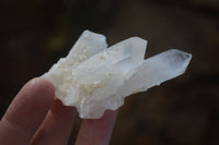 Natural Small Quartz Clusters  x 35 From Madagascar