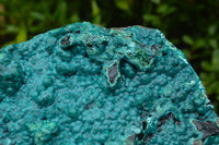 Natural Extra Large Chrysocolla Silica Botryoidal Specimen x 1 From Kulukuluku, Congo - TopRock