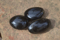 Polished Schorl Black Tourmaline Galet / Palm Stones x 20 From Madagascar