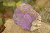 Natural Selected Rough Purpurite Specimens  x 6 From Uis, Namibia - TopRock