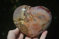 Polished Petrified Red Podocarpus Wood Hearts x 2 From Madagascar - Toprock Gemstones and Minerals 