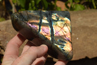 Polished Labradorite Standing Free Forms With Intense Blue & Gold Flash x 3 From Sakoany, Madagascar - TopRock