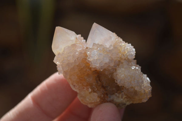 Natural Mixed Spirit Quartz Crystals x 70 From Boekenhouthoek, South Africa