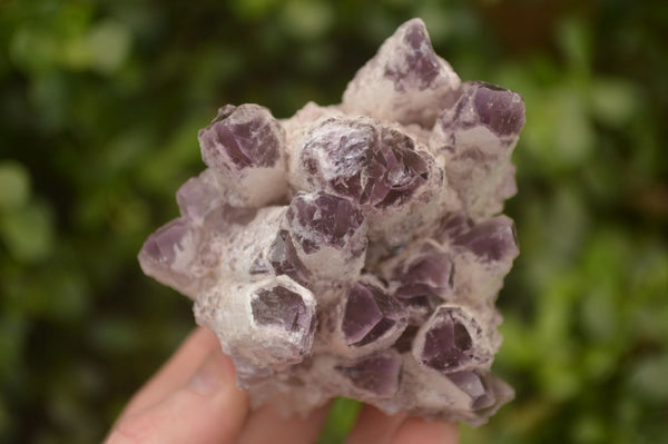 Natural Sugar Amethyst Clusters  x 4 From Solwezi, Zambia