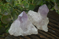 Natural Jacaranda Amethyst Clusters  x 6 From Mumbwa, Zambia - Toprock Gemstones and Minerals 