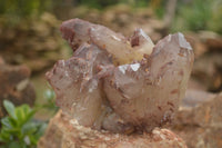 Natural Red Hematoid Quartz Specimens x 2 From Karoi, Zimbabwe - TopRock