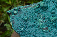 Natural Extra Large Chrysocolla Silica Botryoidal Specimen x 1 From Kulukuluku, Congo - TopRock