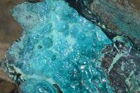 Natural Blue Silica Chrysocolla Specimens  x 2 From Congo - Toprock Gemstones and Minerals 