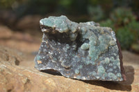 Natural Drusy Coated Ball Malachite On Dolomite Specimens  x 2 From Likasi, Congo