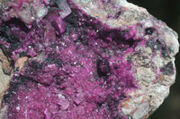 Natural Extra Large Deep Pink Salrose With Black Heterogonite  x 1 From Kakanda, Congo - Toprock Gemstones and Minerals 