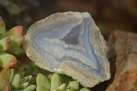 Polished One Side Blue Lace Agate Specimens x 6 From Nsanje, Malawi