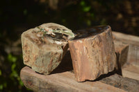 Polished Petrified Wood Branch Pieces x 2 From Gokwe, Zimbabwe