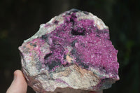 Natural Extra Large Deep Pink Salrose With Black Heterogonite  x 1 From Kakanda, Congo - Toprock Gemstones and Minerals 