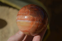 Polished Stunning Carnelian Agate Spheres  x 5 From Madagascar