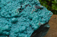 Natural Extra Large Chrysocolla Silica Botryoidal Specimen x 1 From Kulukuluku, Congo - TopRock