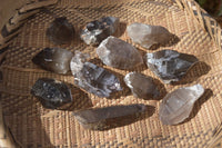 Natural Smokey Quartz Crystals x 12 From Malawi