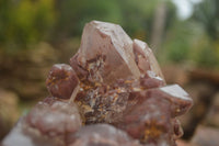 Natural Red Hematoid Quartz Specimens x 2 From Karoi, Zimbabwe - TopRock