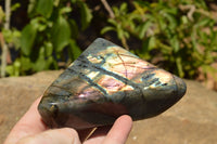 Polished Labradorite Standing Free Forms With Intense Blue & Gold Flash x 3 From Sakoany, Madagascar - TopRock