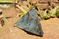 Polished Labradorite Standing Free Forms With Intense Blue & Gold Flash x 3 From Sakoany, Madagascar - TopRock