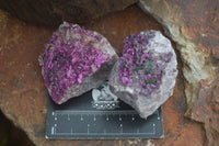 Natural Pink Salrose Cobaltion Dolomite Specimens With Ball Malachite  x 6 From Congo - Toprock Gemstones and Minerals 