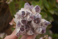 Natural Sugar Amethyst Clusters  x 4 From Solwezi, Zambia