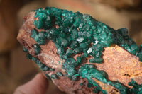 Natural Extra Large Emerald Dioptase Crystal Specimen  x 1 From Likasi, Congo