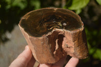 Polished Petrified Wood Branch Pieces x 2 From Gokwe, Zimbabwe